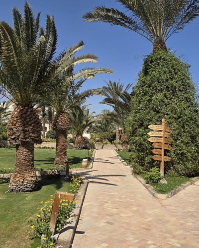 The Red Sea в феврале — фото погоды (2026-02-24)