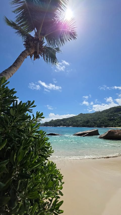Погода в Seychelles Island