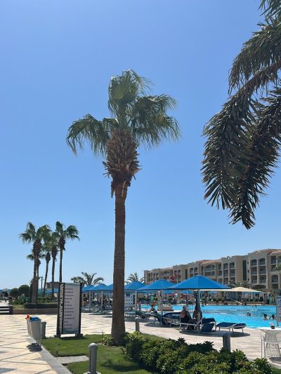Pickalbatros White Beach Resort Hurghada — фото погоды в сентябре (2025-09-03)