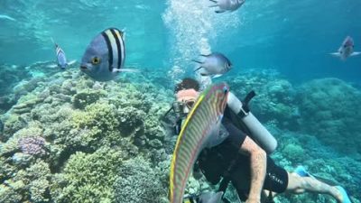 Pickalbatros White Beach Resort Hurghada — фото погоды в марте (2026-03-16)