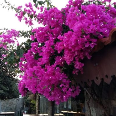 Akyarlar Sahil в сентябре — фото погоды (2019-09-21)