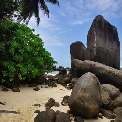 Anse Royale, Beau Vallon, Seychelles в августе — фото погоды (2025-08-22)