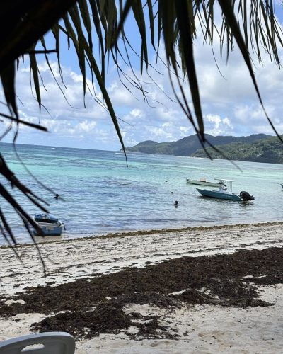 Anse Royale, Beau Vallon, Seychelles в марте — фото погоды (2026-03-24)