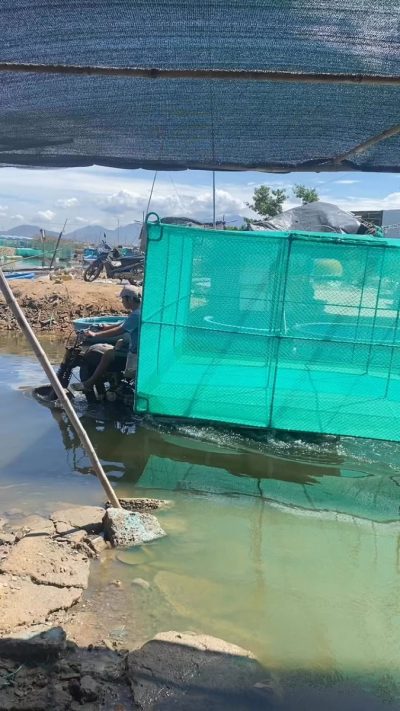 Cam Ranh Port, Khánh Hòa, Vietnam в мае — фото погоды (2026-05-20)