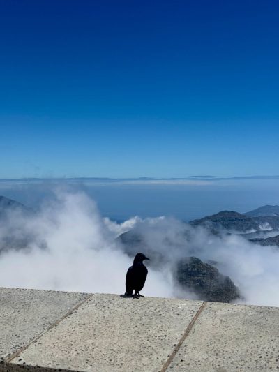Table Mountain, Western Cape, South Africa в феврале — фото погоды (2026-02-23)