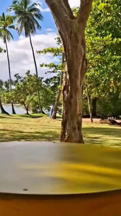 Las Garitas, Samana, Dominican Republic в ноябре — фото погоды (2025-11-23)