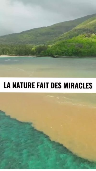 Baie Du Cap, Savanne, Mauritius в ноябре — фото погоды (2025-11-20)