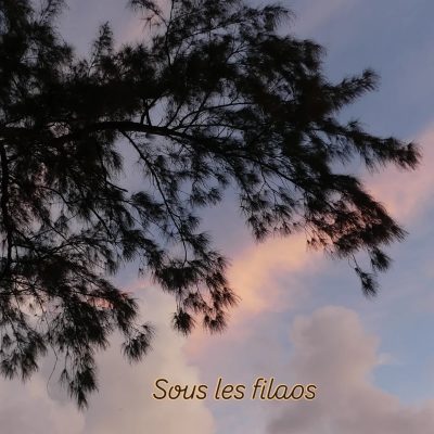 Baie Du Cap, Savanne, Mauritius в ноябре — фото погоды (2025-11-25)