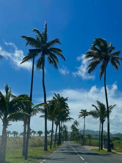 Baie Du Cap, Savanne, Mauritius в декабре — фото погоды (2025-12-30)