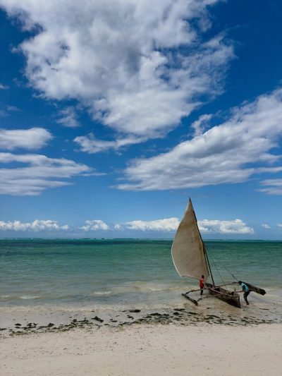 Pwani Mchangani, Zanzibar North, Tanzania в июле — фото погоды (2026-07-02)