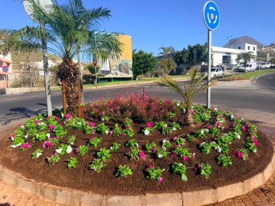 Arona, Canarias, Spain — фото погоды в июне (2026-06-29)