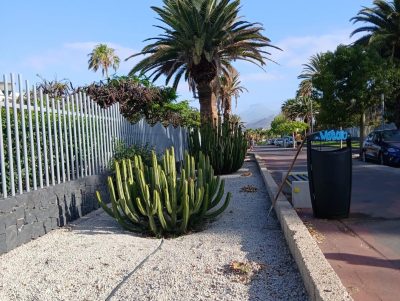 Arona, Canarias, Spain — фото погоды в июне (2026-06-29)