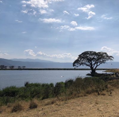 Cratère du Ngorongoro в сентябре — фото погоды (2025-09-23)