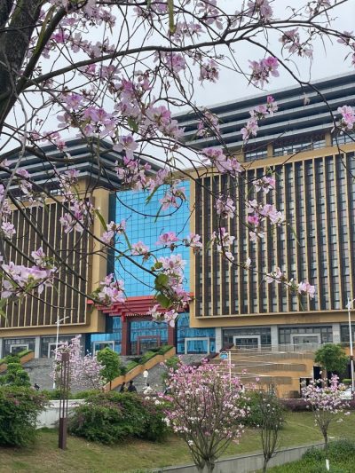 Guangxi Normal University в июле — фото погоды (2026-07-19)