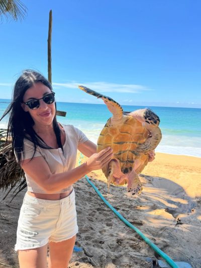 Sheraton Kosgoda Turtle Beach Resort — фото погоды в мае (2026-05-09)