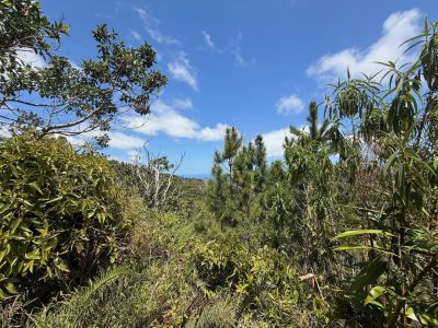 Chamarel, Black River, Mauritius в октябре — фото погоды (2025-10-31)