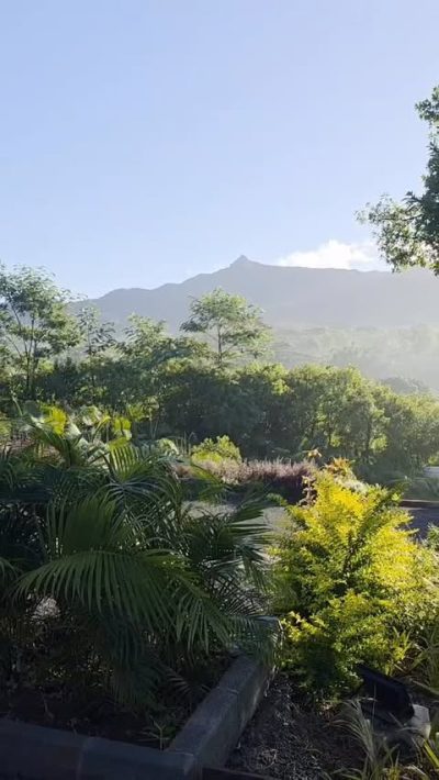 Chamarel, Black River, Mauritius в апреле — фото погоды (2026-04-20)