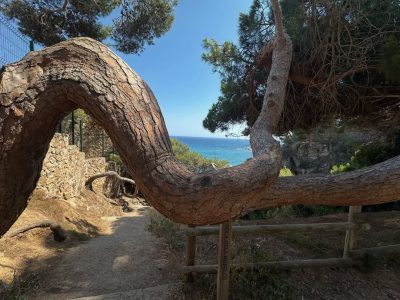 San Antonio De Calonge, Cataluna, Spain — фото погоды в июле (2026-07-10)