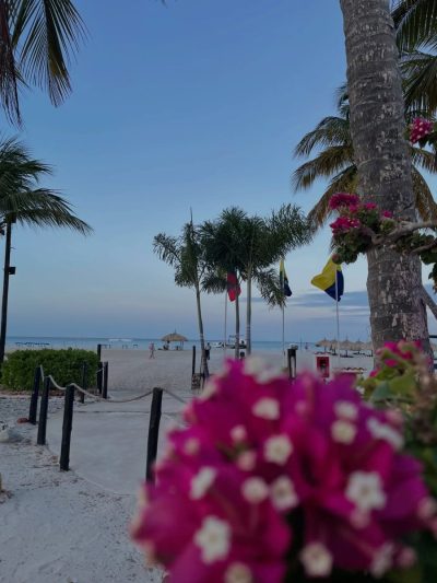 Sunsol Punta Blanca Isla De Coche в апреле — фото погоды (2026-04-07)