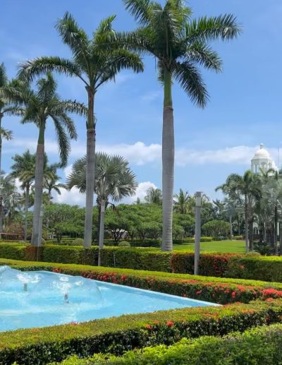 Hotel Riu Palace Costa Rica — фото погоды в январе (2026-01-28)