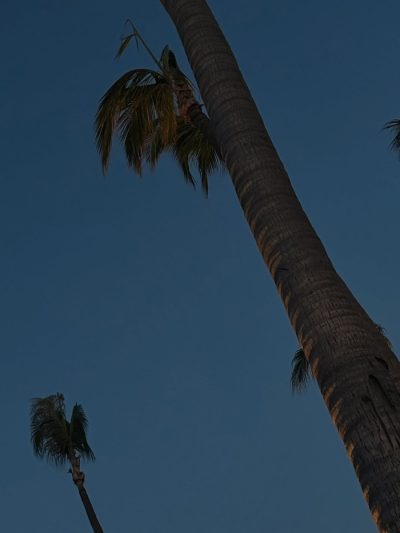 The Grand Mayan Acapulco в июне — фото погоды (2026-06-30)