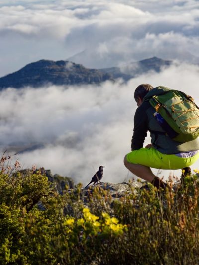 Table Mountain (Sudafrica) в марте — фото погоды (2026-03-24)