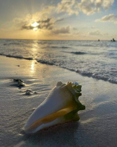 Cayo Coco Hotel Memories Flamenco — фото погоды в июне (2025-06-19)