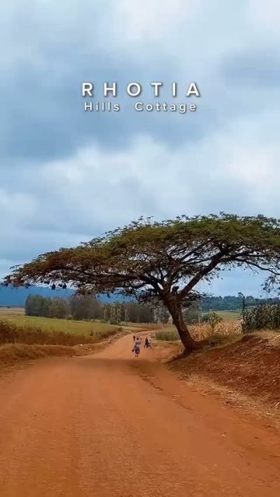 Ngorongoro в июне — фото погоды (2026-06-26)