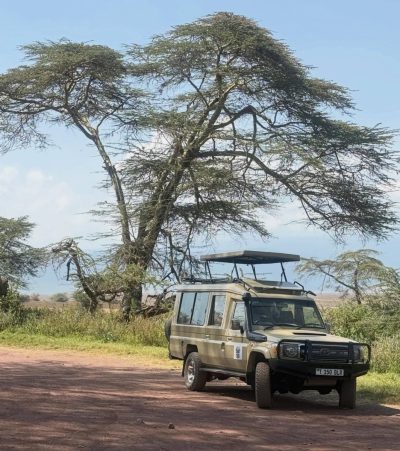 Ngorongoro в июне — фото погоды (2026-06-28)