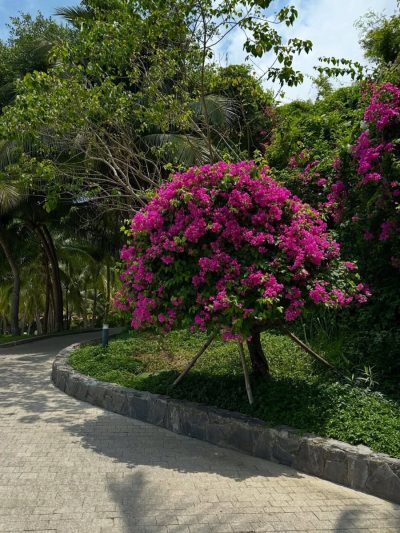 Vinpearl Luxury Nha Trang в апреле — фото погоды (2026-04-27)