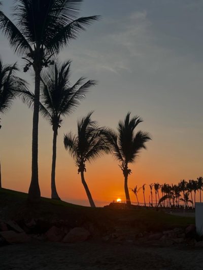 Hotel Melia Resort & Spa All Inclusive Vallarta — фото погоды в мае (2026-05-04)