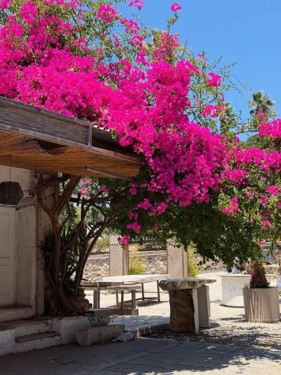 Asklepieion, Kos в июле — фото погоды (2025-07-02)