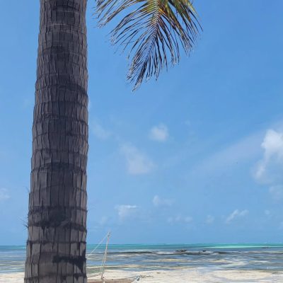 Passion Boutique Hotel Zanzibar — фото погоды в августе (2025-08-15)