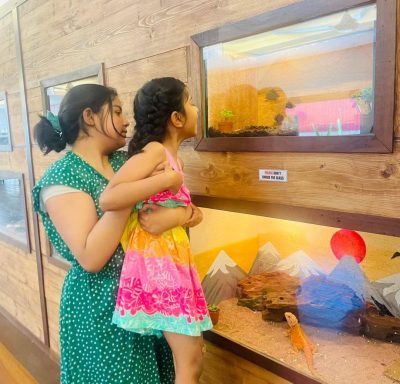 LANGKAWI WILDLIFE PARK в декабре — фото погоды (2025-12-07)
