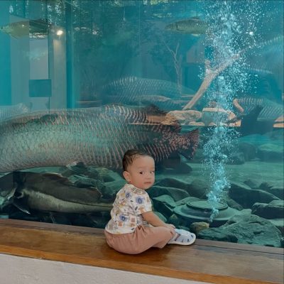 LANGKAWI WILDLIFE PARK в апреле — фото погоды (2026-04-02)