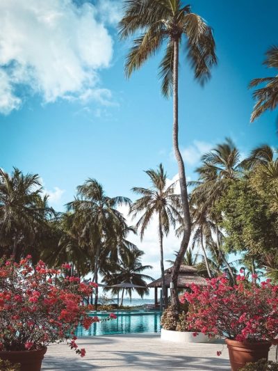 Niva Kurumba Maldives в июле — фото погоды (2026-07-14)