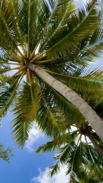 Niva Kurumba Maldives в июле — фото погоды (2026-07-21)