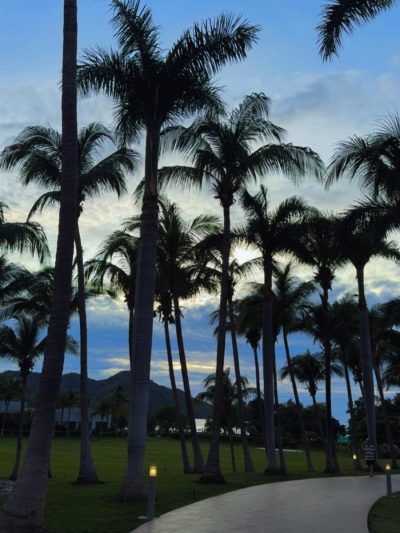 Riu - Hotel & Resort, Guanacaste — фото погоды в июле (2026-07-08)