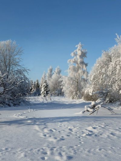 Kivach, Kareliya, Russia в январе — фото погоды (2026-01-27)