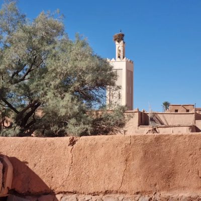 Kasbah Taourirt в октябре — фото погоды (2025-10-24)
