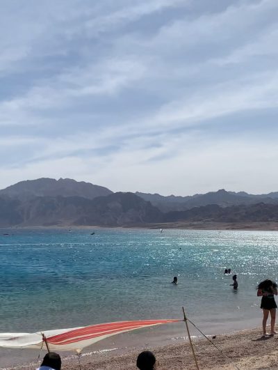 Red Sea Dive Life в марте — фото погоды (2026-03-30)