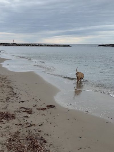 Spiaggia Arma Di Taggia в декабре — фото погоды (2025-12-22)