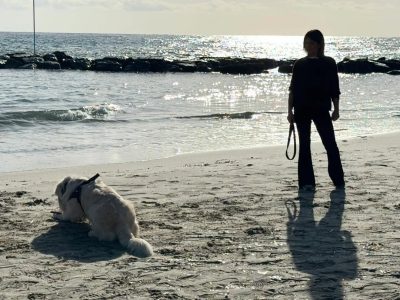 Spiaggia Arma Di Taggia в январе — фото погоды (2026-01-03)