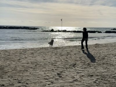 Spiaggia Arma Di Taggia в январе — фото погоды (2026-01-03)