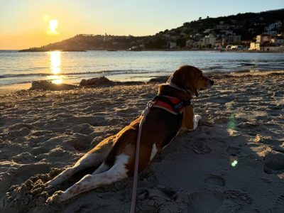 Spiaggia Arma Di Taggia в январе — фото погоды (2026-01-04)