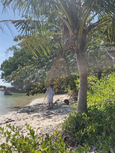 Langkawi Island в июле — фото погоды (2026-07-05)