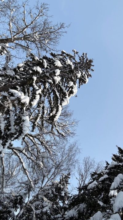 Rosa Khutor Extreme Park в январе — фото погоды (2026-01-25)