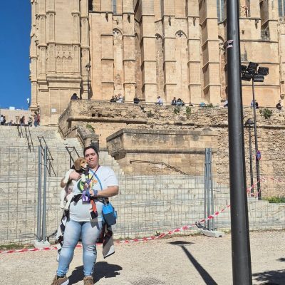 Catedral Palma De Mallorca, Balears, Spaña — фото погоды в марте (2026-03-19)