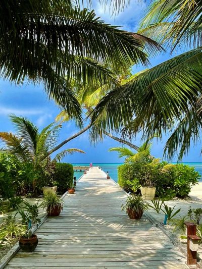 Maldives Island в январе — фото погоды (2026-01-26)