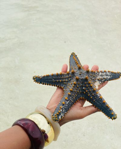 Pongwe, Zanzibar Central/South, Tanzania в июле — фото погоды (2026-07-04)
